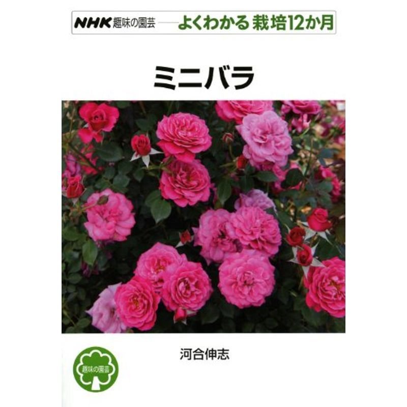 ミニバラ (NHK趣味の園芸 よくわかる栽培12か月)