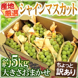 ”シャインマスカット” ちょっと訳あり 約5kg 大きさおまかせ 産地厳選 送料無料