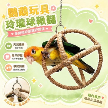 ⚡臺灣直出⚡優選⭐鸚鵡玩具玲瓏球鞦韆吊環攀爬網啃咬磨牙訓練道具玄鳳虎皮鳥籠專用