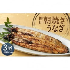 朝焼きうなぎ 3尾入 約150g×3 合計約450g タレ・山椒各6袋