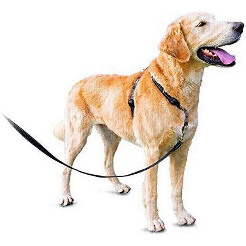 Petsafe 3 In 1 犬 ハーネス 大型犬 引っ張り防止 調整簡単 抜けない 耐久性が高い 夜間反射 車の中で安全 L ブラック 通販 Lineポイント最大0 5 Get Lineショッピング