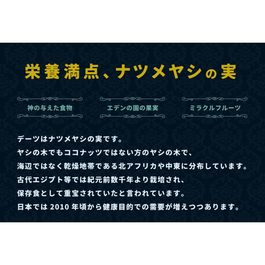 友口 魅惑のドライデーツ 520g 無添加 種なし なつめやし ナツメヤシ サイヤー種 低GI食品 送料無料 カリウム カルシウム マグネシウム 鉄