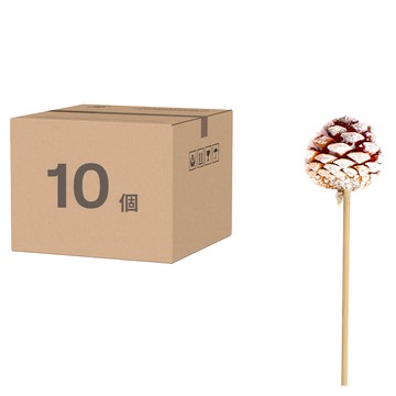 永生花毬果 白霜油松 Set 10 3-4cm 枝條 聖誕節慶裝飾