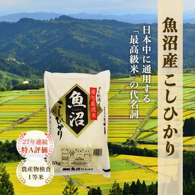 令和5年度産 新米 魚沼産 こしひかり 5kg 送料無料 新潟県 お米 5キロ