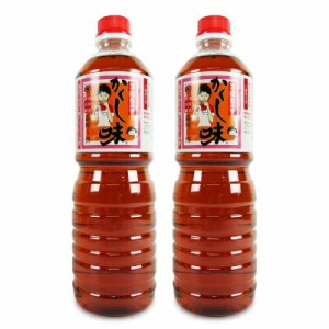 東北醤油 キッコーヒメ 万能白つゆ かくし味 5倍濃縮 1000ml × 2本