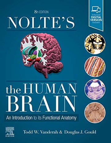 Nolte's The Human Brain: An Introduction to its Functional Anatomy (8版) Vanderah 2020 Elsevier