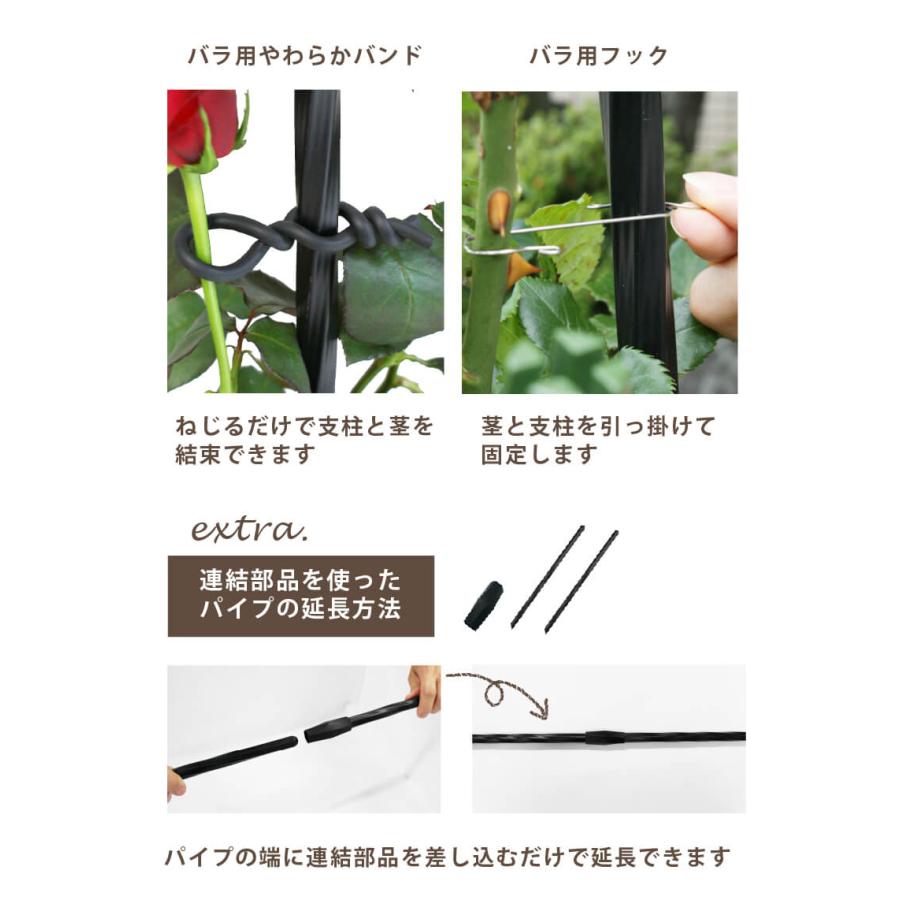 DAIM バラ用やわらかバンド 4.8mm 長さ5m バラ 誘引 ばら 薔薇 クレマチス 庭 ガーデニング ガーデン つる性植物