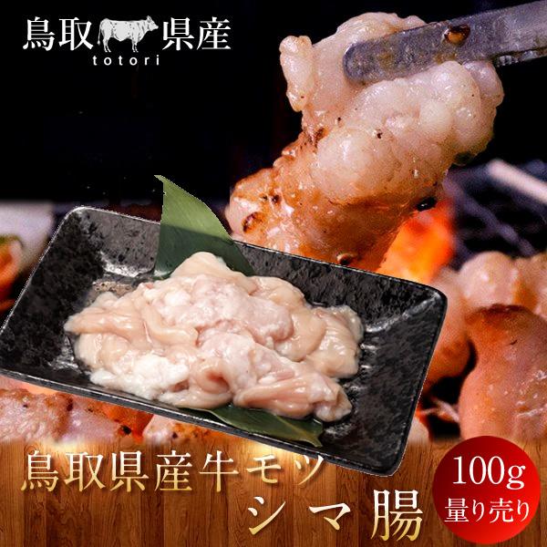 牛肉 鳥取県産牛 モツ シマ腸 国産牛 焼き肉 やきにく 赤身 選べる 部位別 量り売り 生産農家［お歳暮 2023 ギフト 御歳暮］