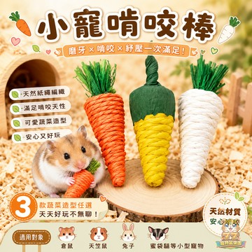 【現貨!愛亂咬必備】倉鼠啃咬棒 小寵玩具 倉鼠磨牙棒 倉鼠磨牙玩具 兔子磨牙棒 小寵物用品 黃金鼠 刺蝟 三線鼠 銀狐