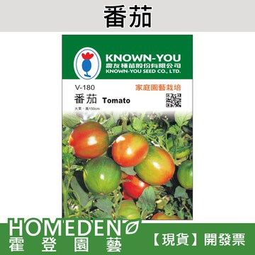 【隔日到貨】番茄 V-180 大果 蔬菜種子 農友牌 小包裝種子 約30粒/包【HOMEDEN霍登園藝】