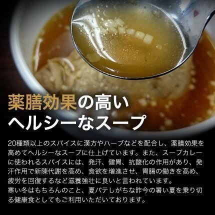 北海道札幌発祥のSHANTi（シャンティ）オリジナルスープカレーと 骨付きチキンレッグ＜辛さ選べる２〜10ボーガ＞