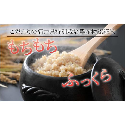 ふるさと納税 福井県 あわら市 令和5年産新米 ミルキークイーン 玄米 10kg(5kg×2袋） 特別栽培米 農薬不使用 化学肥料不使用 ／ 高品質 鮮度抜群 福井県産 ブ…