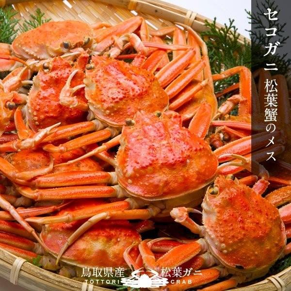 香箱がに せこ蟹 セイコガニ 訳あり［B小］500g ゆで蟹 ボイル 子持ち 足折れ 新物 メス 親蟹 せこがに せいこ蟹 香箱蟹 鳥取県産［お歳暮 2023 ギフト 御歳暮］