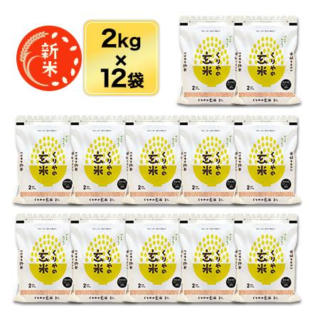 新米 令和5年産(2023年) 栃木県産 なすひかり 精選玄米（24kg｜2kg×12袋）