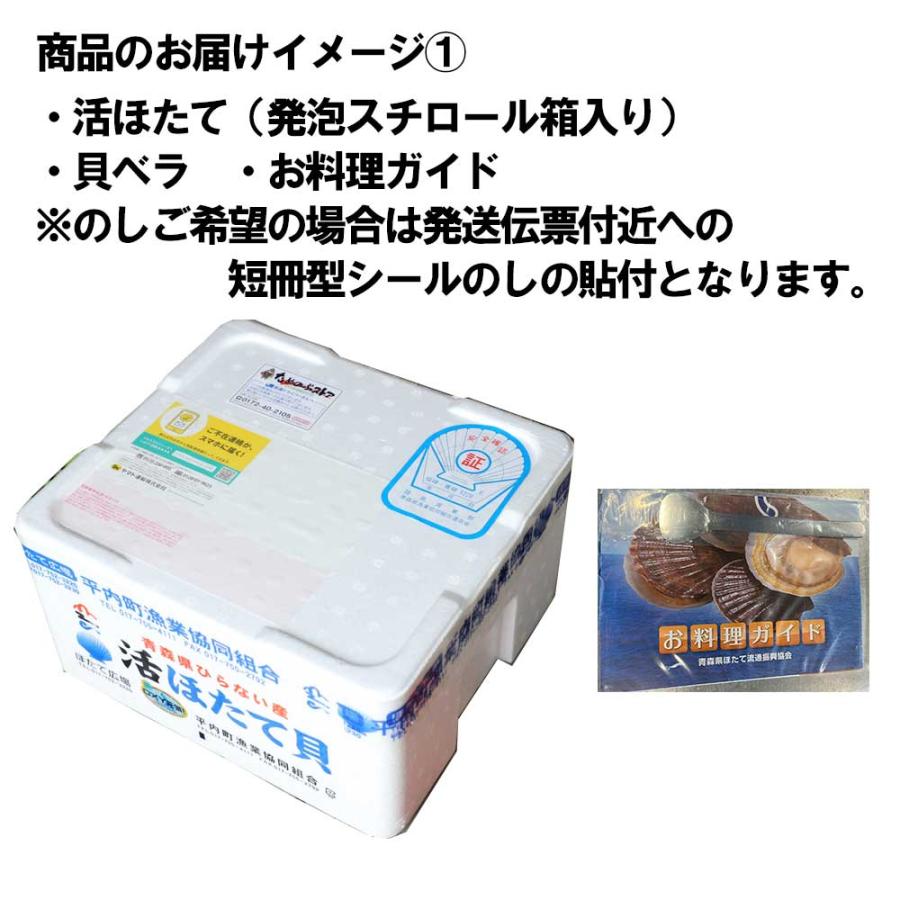 ホタテ 殻付き 活ホタテ 青森陸奥湾産 5キロ 送料無料 生食 刺身 通販 OXY元気！