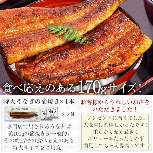 お歳暮 御歳暮 ギフト うなぎ 蒲焼き 国産 特大うなぎ1尾と肝吸い1食 ウナギ 鰻 蒲焼 送料無料