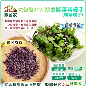 【綠藝家】大包裝J12.紫高麗菜芽種子(芽菜種子) 紫高麗菜苗 種子 生機飲食 帶有淡淡的甘甜與脆嫩口感，沒有明顯苦味