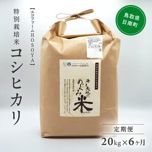 ふるさと納税 令和5年産 海と天地のめぐみ米（コシヒカリ） 白米20kg 鳥取県日南町