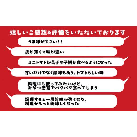 ふるさと納税 愛知県 田原市 グランプリ受賞 完熟 あつみちゃんトマト 1.5kg  3回お届け定期便