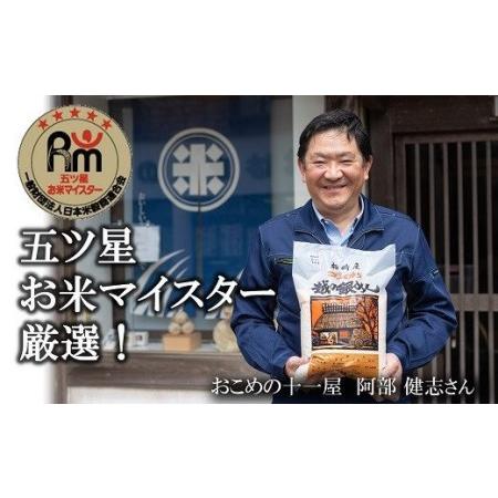 ふるさと納税 令和5年産新米新之助 白米 20kg（5kg×4袋） [C407] 新潟県柏崎市