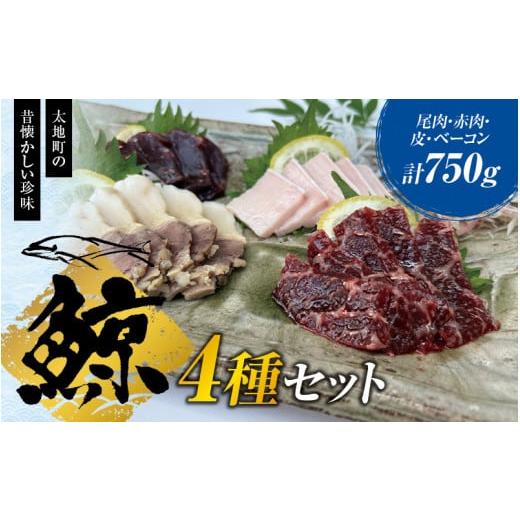 ふるさと納税 和歌山県 太地町 鯨肉セット （尾肉100g×1・赤肉150g×3・皮100g×1・ベーコン100g×1）／刺身 クジラ くじら クジラ肉 くじら肉