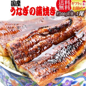 うなぎ 蒲焼き 敬老の日 ギフト プレゼント 国内産 うなぎ蒲焼1尾 大(1尾約180g前後～200g前後)