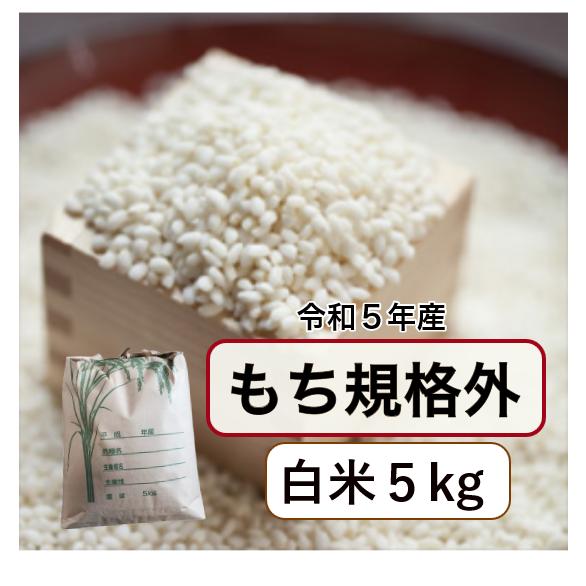 もち米 5kg「5年産 もち米規格外 白米5kg」数量限定 送料無料