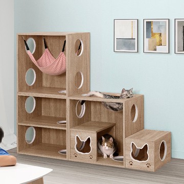 穿越貓跳台階梯組