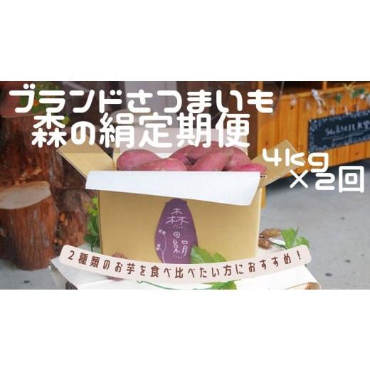 ふるさと納税 島根県 飯南町 「森の絹」食べ比べ定期便  生イモ4kg×2回【さつまいも 農薬不使用 有機肥料使用 高糖度 シルクスイート 紅はるか 食べ比べ 蜜 …