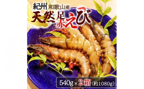 紀州和歌山産天然足赤えび540g×2箱（270g×4パック）　化粧箱入