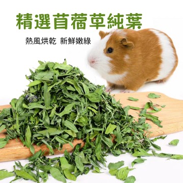 【隔日達】紫花苜蓿草葉子全葉兔子龍貓荷蘭豬飼料糧食純葉子幼兔苜蓿葉子