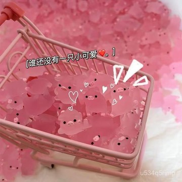 🍋迷你盲袋 盲袋玩具 小擺件 兒童玩具 動物小盲袋 透明立體網紅髮光小豬夜光公仔DIY飾品樹脂配件裝飾擺件可愛擺攤