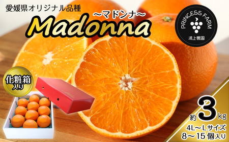 農園直送 「Madonna（ 愛媛果試第28号 ）」約３㎏ 化粧箱 お任せサイズ（L～4L）8～15個入り 愛媛県オリジナル品種 柑橘