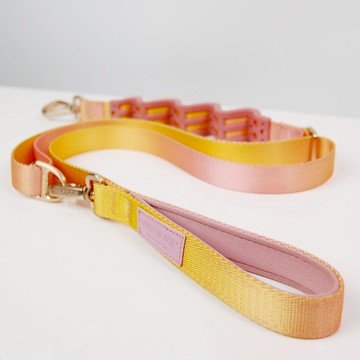 寵物狗多功能牽引繩 狗繩 黃粉漸變