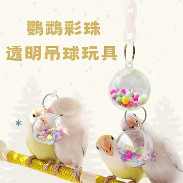 【現貨】鸚鵡彩珠透明吊球玩具 鳥籠裝飾掛件 啃咬玩具 鸚鵡玩具 鸚鵡用品 鳥玩具