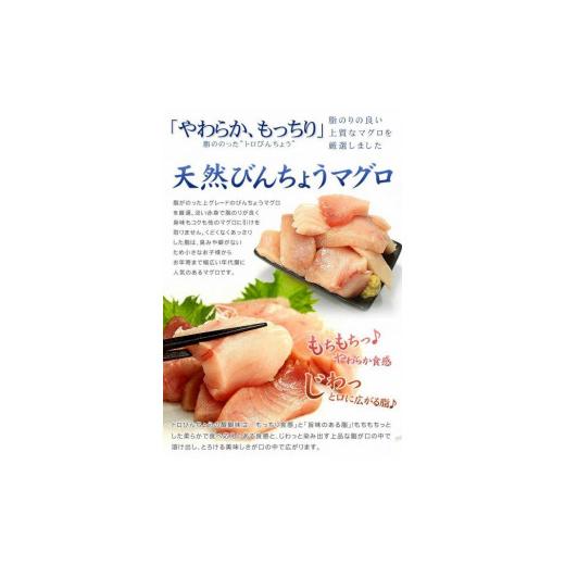 ふるさと納税 福島県 いわき市 トロびんちょう鮪1kg（500g×2パック）ねっとりとした食感のびんトロ！解凍レシピ付　可食部ほぼ100％