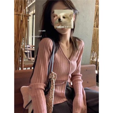 粉色上衣毛衣女春季穿搭2025新款高級感正肩v領針織衫內搭打底衫