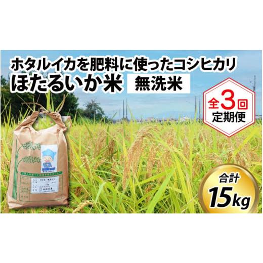 ふるさと納税 富山県 滑川市 ほたるいか米（無洗米５kg）×3回 計15kg