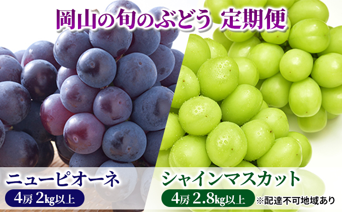 フルーツ 定期便 2024年 先行予約 ニュー ピオーネ 4房2kg以上 シャイン マスカット 4房 2.8kg以上 岡山県産 国産 セット ギフト