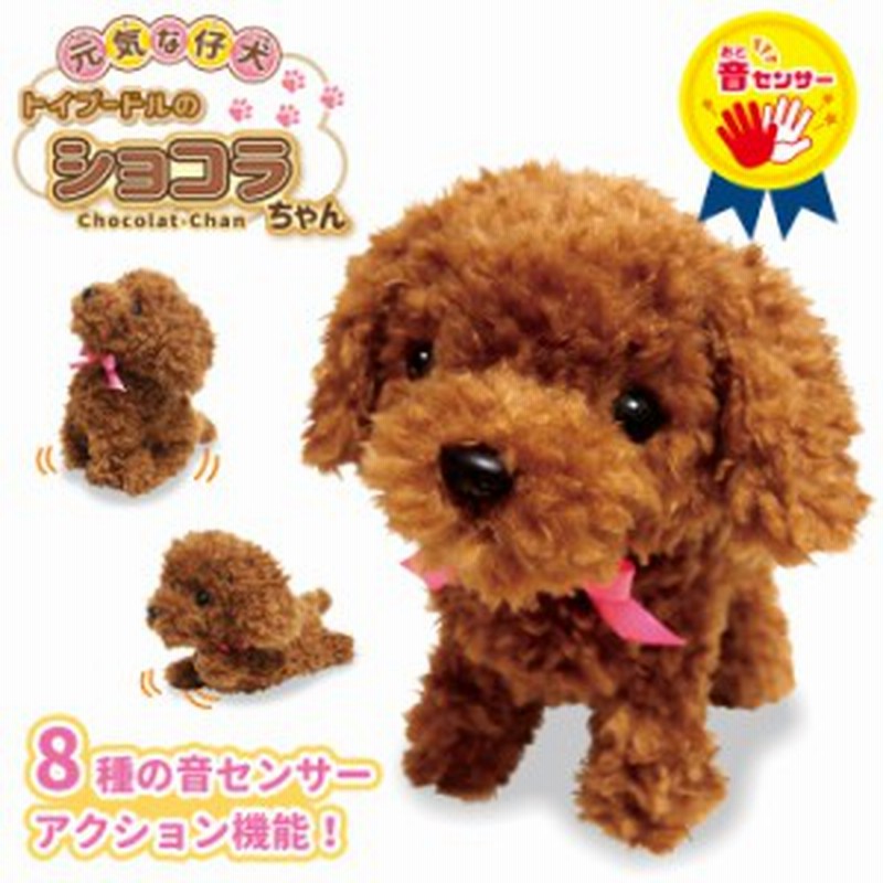 送料無料 元気な仔犬 トイプードルのショコラちゃん 動く 歩く 鳴く ぬいぐるみ いぬ イヌ 犬 トイプードル 癒し 人形 ペット ロボット 通販 Lineポイント最大1 0 Get Lineショッピング