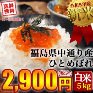 新米 お米 令和5年産 福島県中通り産 ひとめぼれ 白米５kg 送料無料 ※一部地域を除く