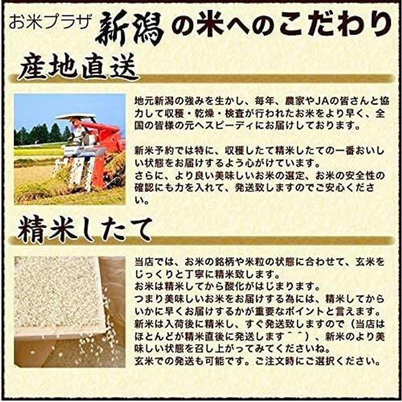 新潟県産 こしいぶき 白米 5kg 令和4年産