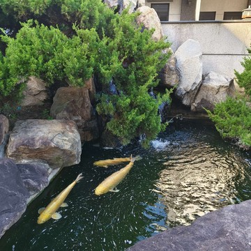 【頭份藏院行館｜收藏級庭園豪邸】｜苗栗縣頭份市興隆路