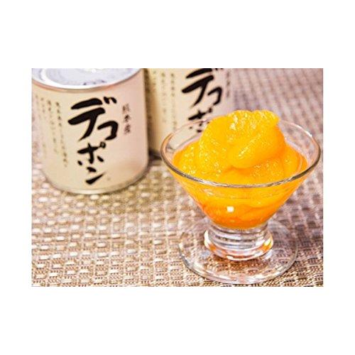 JAあしきた 熊本芦北柑橘 デコポン甘夏缶詰め (10缶入り(化粧箱))