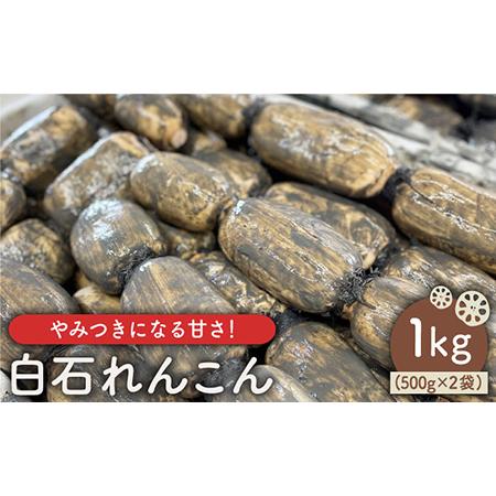 ふるさと納税 やみつきになる甘さ！ 松尾青果のこだわり白石れんこん 約1kg（500g×2袋） [IBD002] 佐賀県白石町