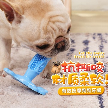 【現貨】寵物狗狗TPR環保無毒牙刷 磨牙棒玩具彈力橡膠耐咬寵物玩具 狗玩具 狗用品狗益智玩具 潔牙玩具 寵物玩具 狗潔牙