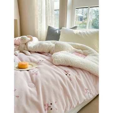 ins風牛奶絨羊羔絨被子被芯春秋冬被單人珊瑚絨蓋毯加厚保暖冬季