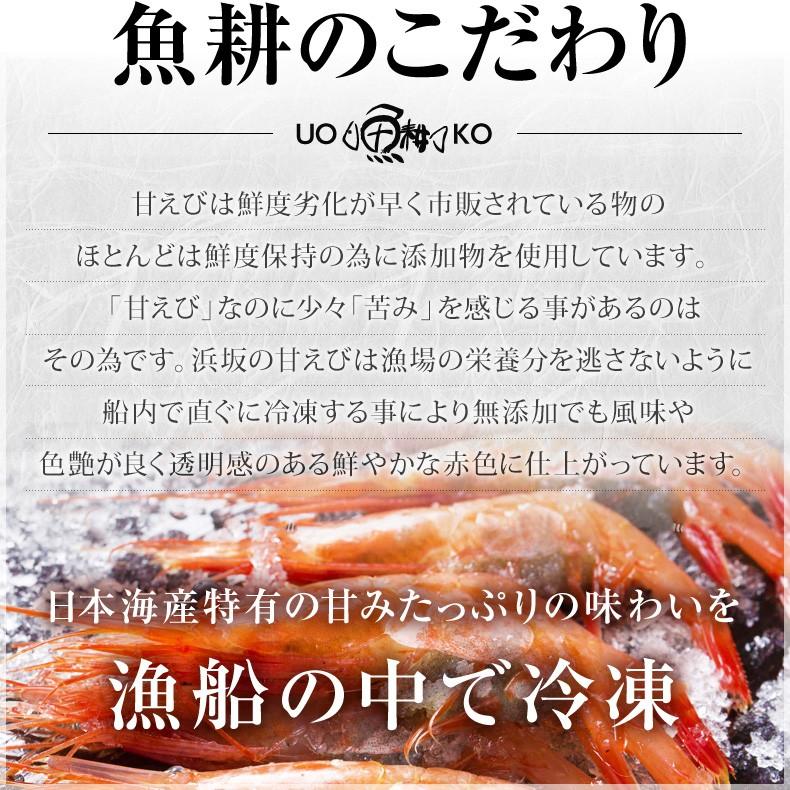 海老 エビ 甘エビ 刺身 冷凍 越前産甘エビ500g 酸化防止剤・添加物不使用