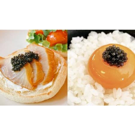 ふるさと納税  つくばスタージョン キャビア 20ｇ×1 キャビア 高級食材 記念日 誕生日 世界三大珍味 国産キャビ.. 茨城県桜川市