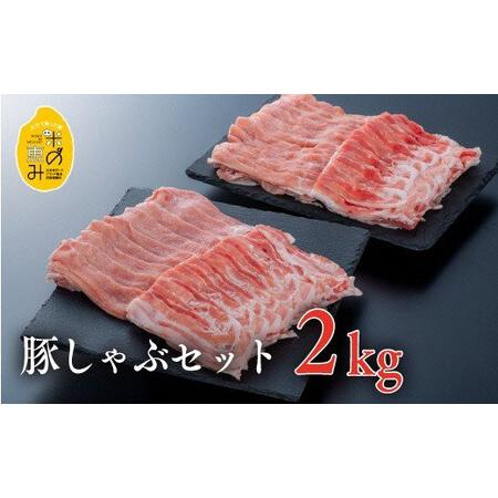 ふるさと納税 JA-04 お楽しみ肉の定期便 年3回 大分県豊後高田市